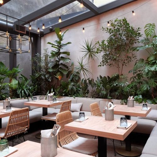 Kinh nghiệm dự toán chi phí xây quán cafe