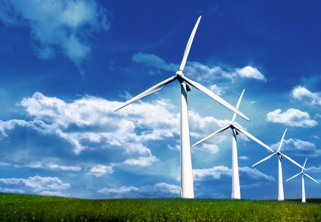 Các nhà đầu tư điện gió tuyên bố phá sản nếu không có ưu đãi về thuế